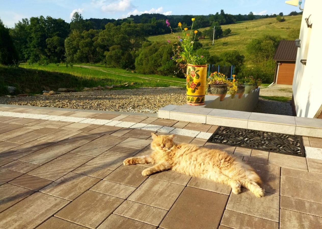 Farm stay Goscinne U Olguni Chyrowa