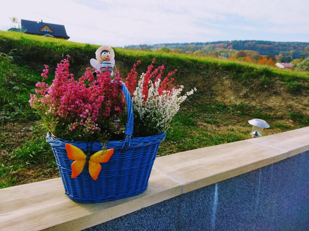 Goscinne U Olguni Farm stay Chyrowa