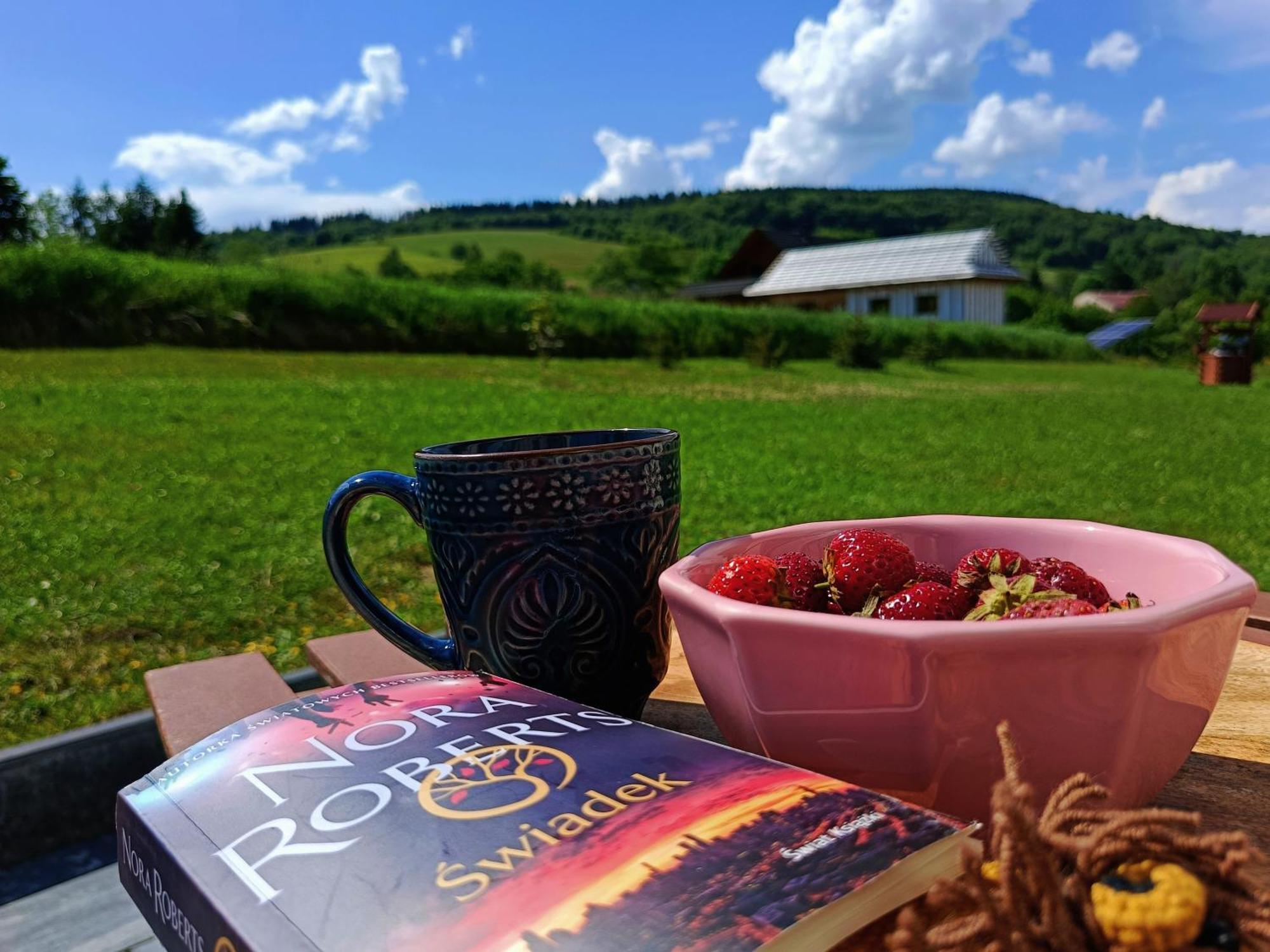 Farm stay Goscinne U Olguni Chyrowa